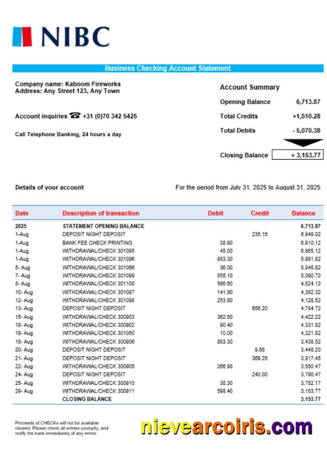 NIBC Bank business organization checking  statement